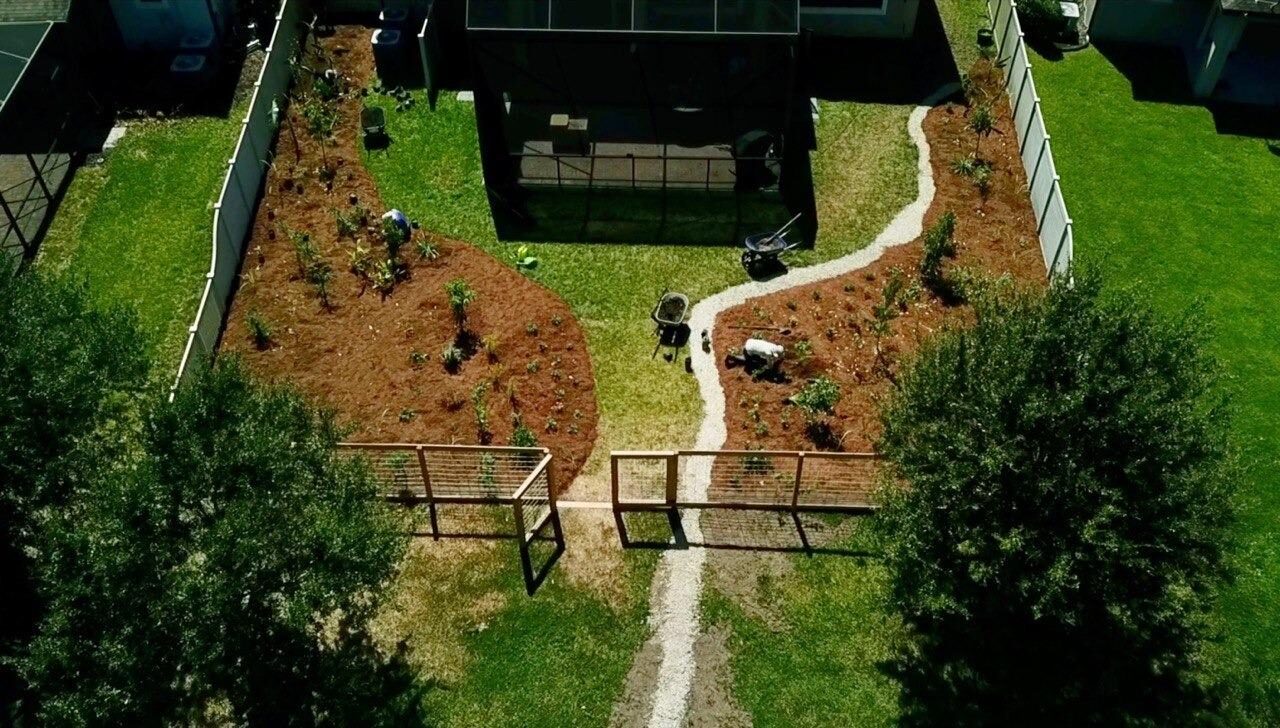 Aerial view of a suburban backyard transformed into a curving, mulched food forest