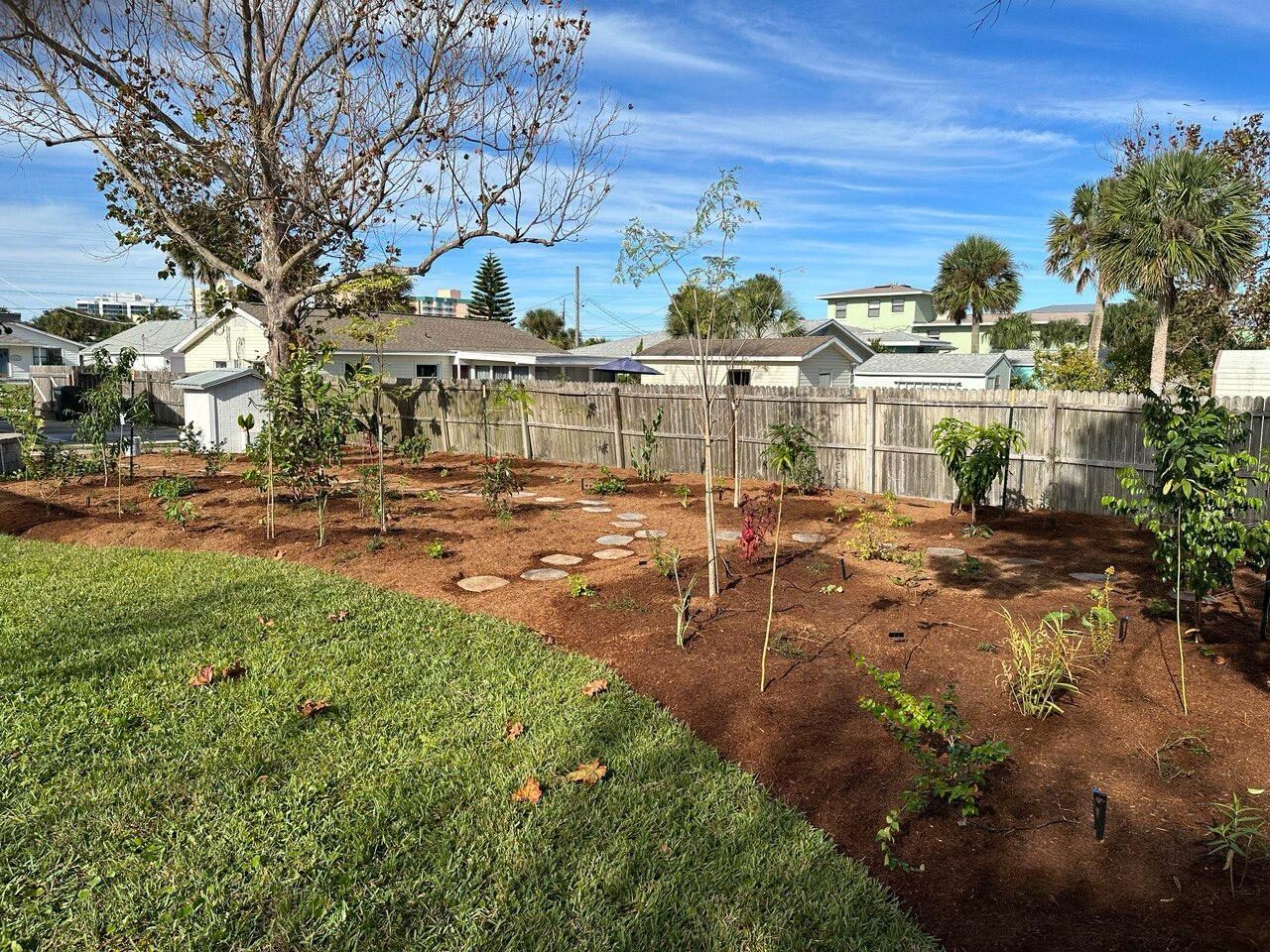 A freshly planted backyard food forest with young fruit trees and a stepping-stone path under a blue sky