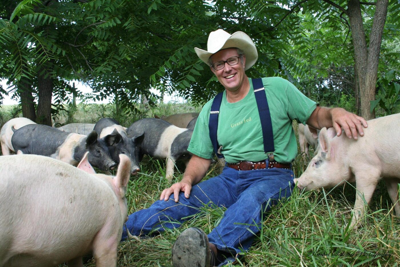 A man in a sun hat sitting on the grass among pastured pigs in the shade of a food forest